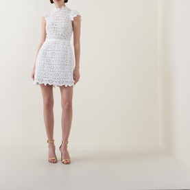 Rowen Hourglass Lace Dress