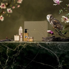 Intuitia Large Gift Set