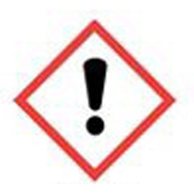 Intuitia Large Gift Set