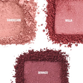Cheek Score Blush Limited Edition Palette