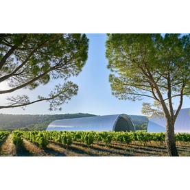 Gran Vin Blanc