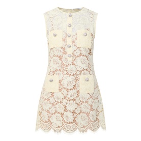 Fine Lace Mini Dress