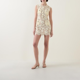 Fine Lace Mini Dress