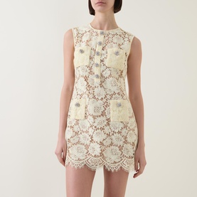 Fine Lace Mini Dress