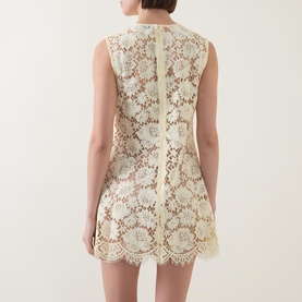 Fine Lace Mini Dress