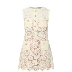 Fine Lace Mini Dress