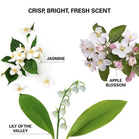 Insta-WOW Advanced Dry Shampoo