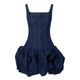 Briar Denim Mini Dress