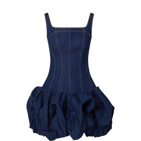 Briar Denim Mini Dress