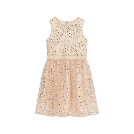 Sparkle Sequin Dress