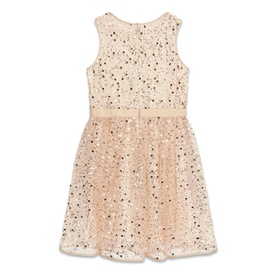 Sparkle Sequin Dress