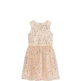 Sparkle Sequin Dress