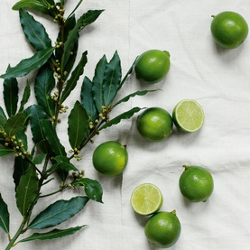 Lime & Bay Mini Home Scenting Gift Set