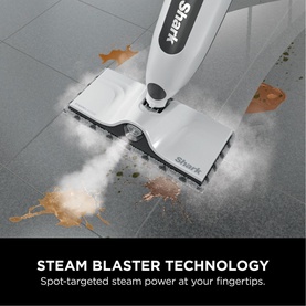 SteamSpot with Steam Blaster Technology