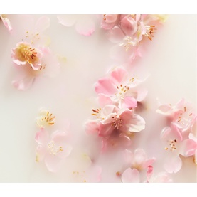 The Ritual of Sakura Body Cream