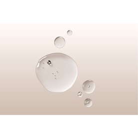 Leave-In Anti Frizz Conditioner