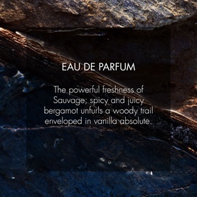 Sauvage Spray for the Wild Eau de Parfum