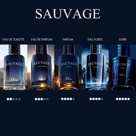 Sauvage Spray for the Wild Parfum