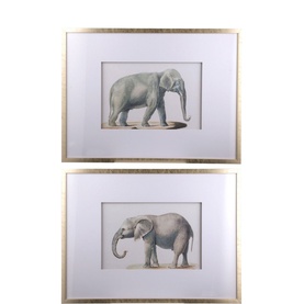 Elephant Two-Piece Framed Picture Set