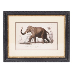 Framed Elephant Print