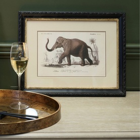 Framed Elephant Print