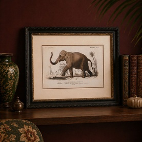 Mindy Brownes Framed Elephant Print in black, gold and cream, vintage botanical-style illustration in ornate frame, styled on a wooden shelf.