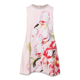 Anglesey Placement Floral Mini Shift Dress