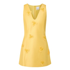 Blairhall Appliqu&eacute; Mini Dress