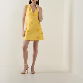 Blairhall Appliqu&eacute; Mini Dress