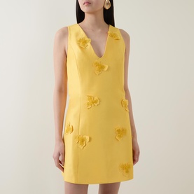 Blairhall Appliqu&eacute; Mini Dress