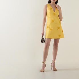 Blairhall Appliqu&eacute; Mini Dress