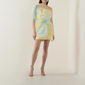 Cotwall Floral Mini Dress