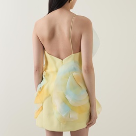 Cotwall Floral Mini Dress