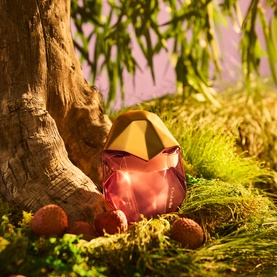 OREBELLA Eternal Roots Parfum 50ml, faceted ruby-red bottle with gold cap, styled on moss among tree roots and lychee fruits