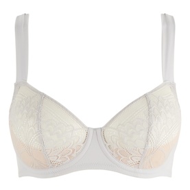 Holly Lace Underwired Bra