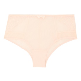 Intuition Floral Tulle Briefs