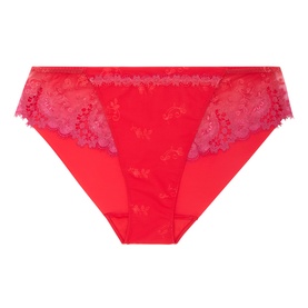 Wish Floral Embroidered Briefs