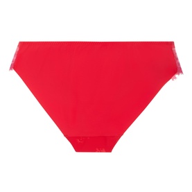 Wish Floral Embroidered Briefs