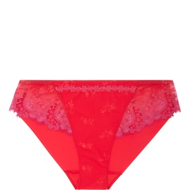 Wish Floral Embroidered Briefs