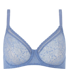 Comete Lace Plunge Bra
