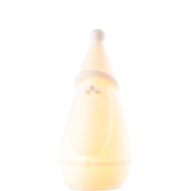 Santa LED Luminaire
