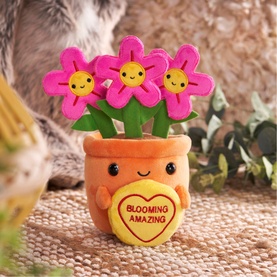 Blooming Amazing Felicity Flowerpot 18cm