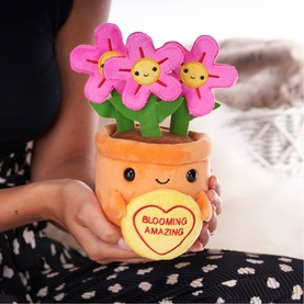 Blooming Amazing Felicity Flowerpot 18cm