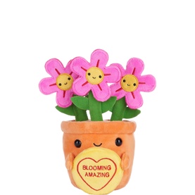 Blooming Amazing Felicity Flowerpot 18cm