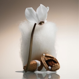 Cashmere Skin Hair & Body Mist