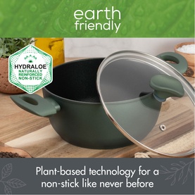 Earth Friendly Covered Stockpot 24cm