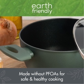 Earth Friendly Covered Stockpot 24cm