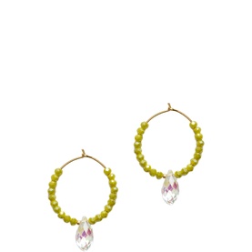 Cosmic Cactus Hoop Earrings