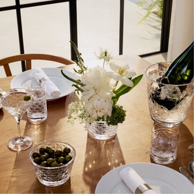 Opulence Martini Glasses Set of Two