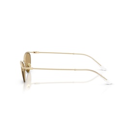 Butterfly Sunglasses AR6175